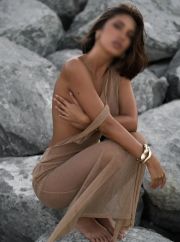 Лиса Европейка фото 1